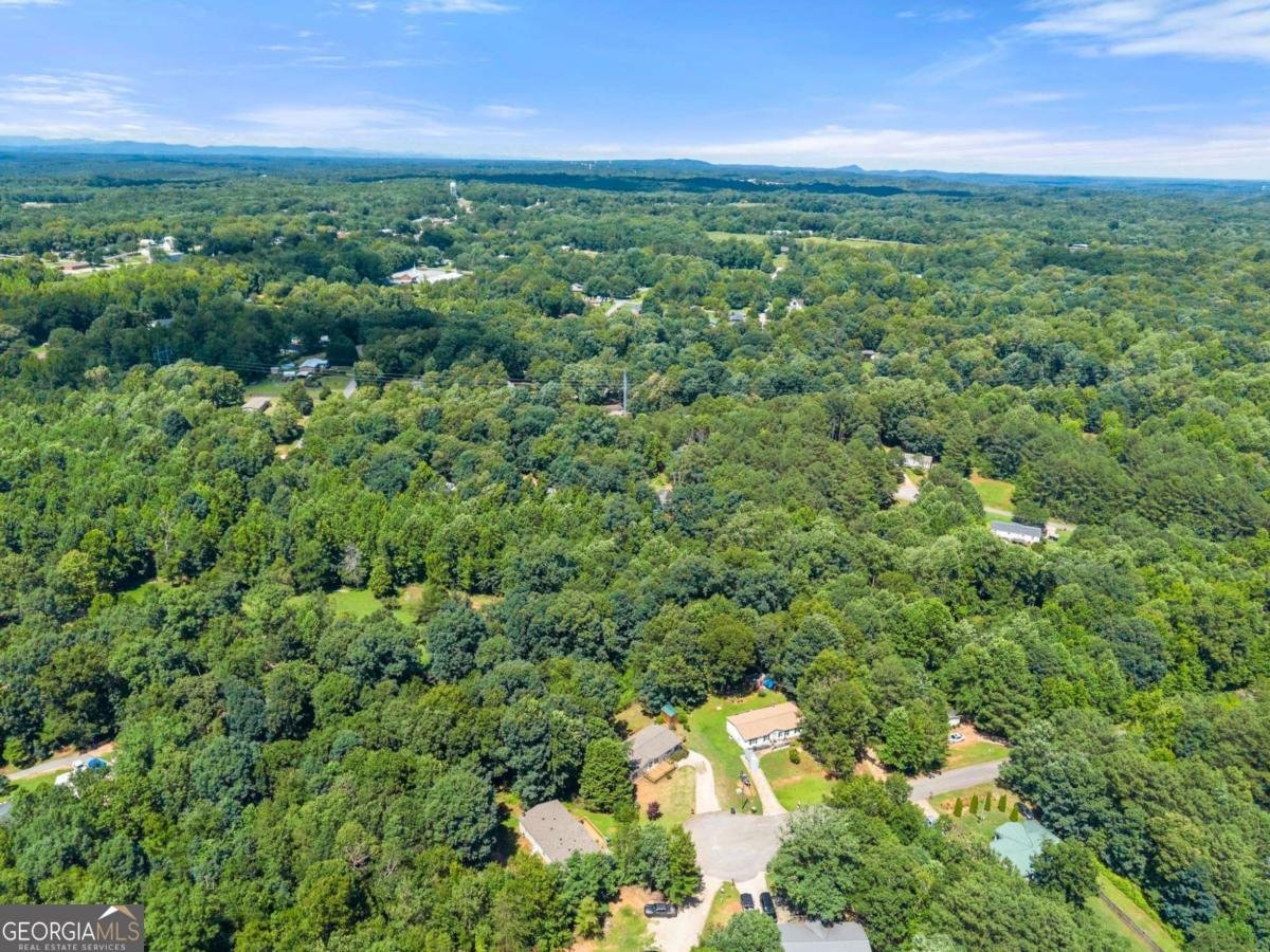 6736 Victoria Lane Lula - Photo 50