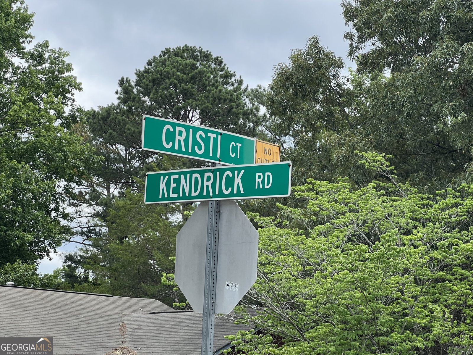 320 Cristi Court Jonesboro - Photo 20