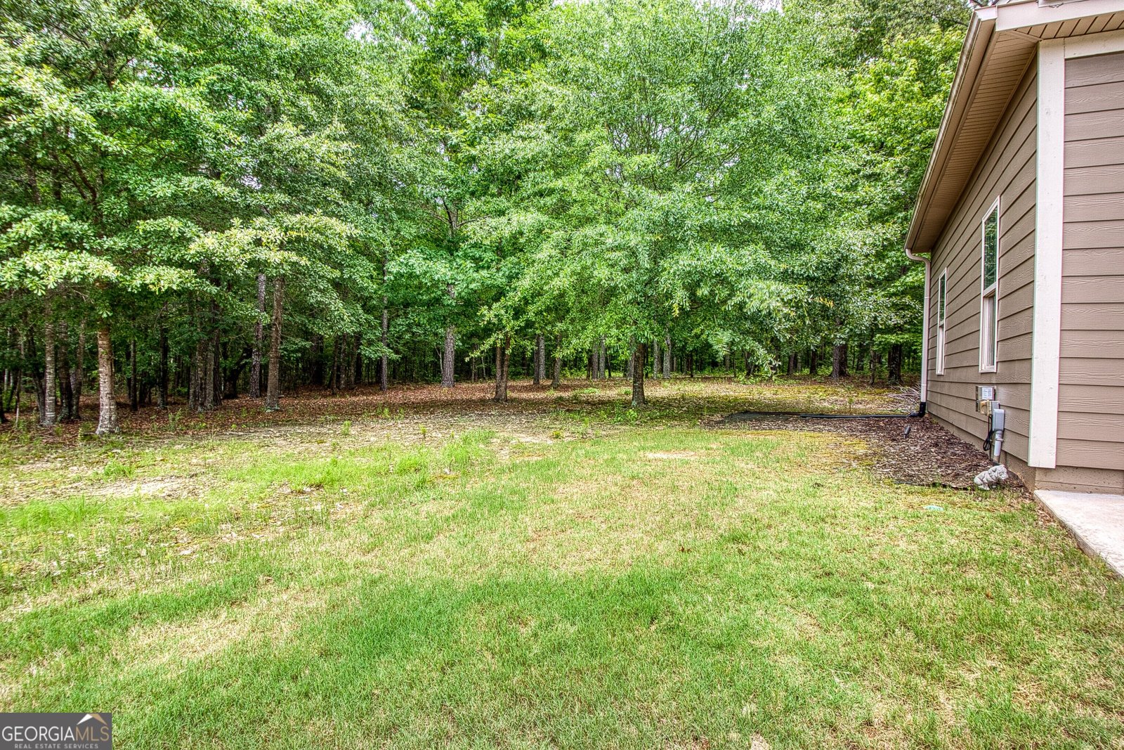 254 Magnolia Place Drive Senoia - Photo 60