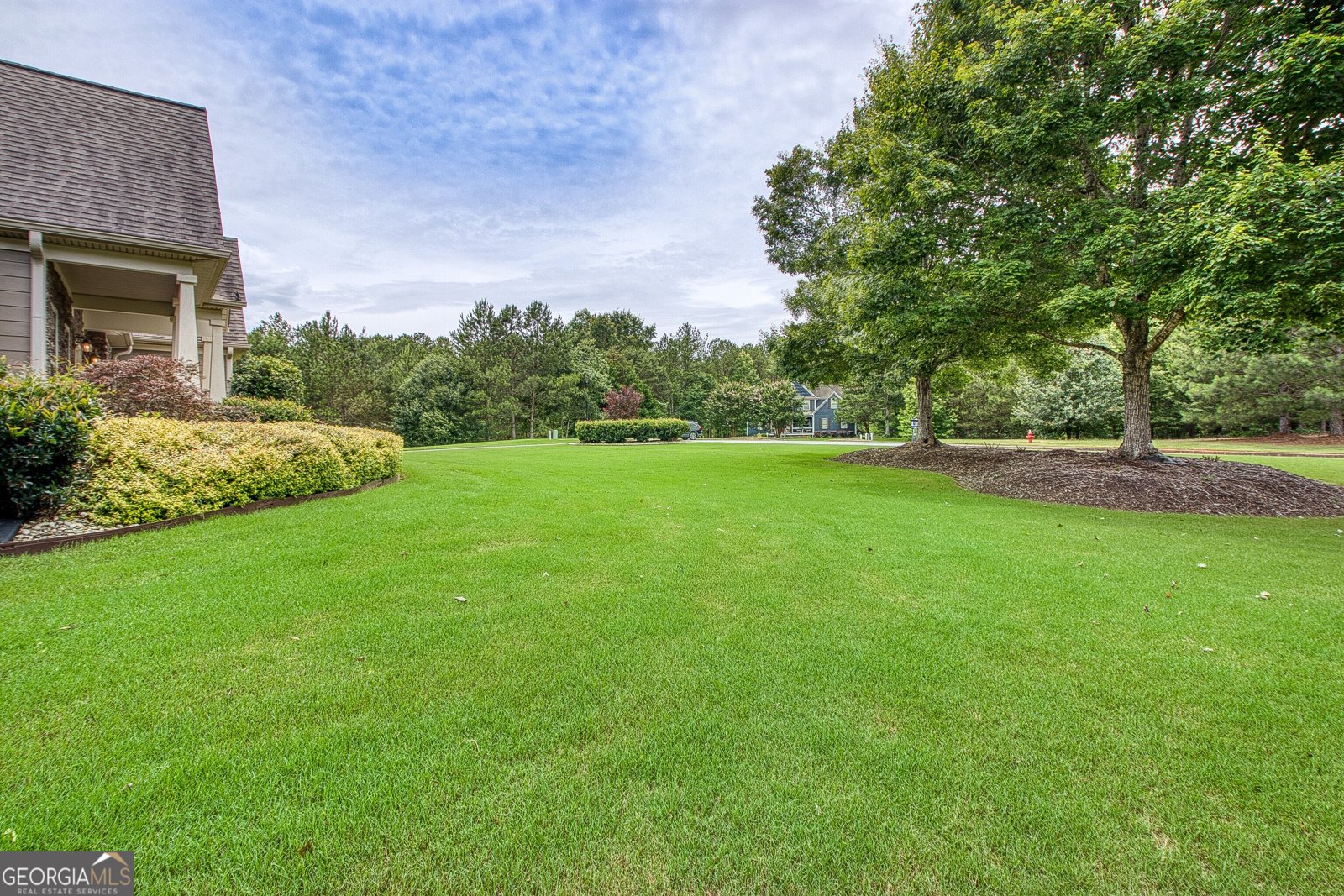 254 Magnolia Place Drive Senoia - Photo 63