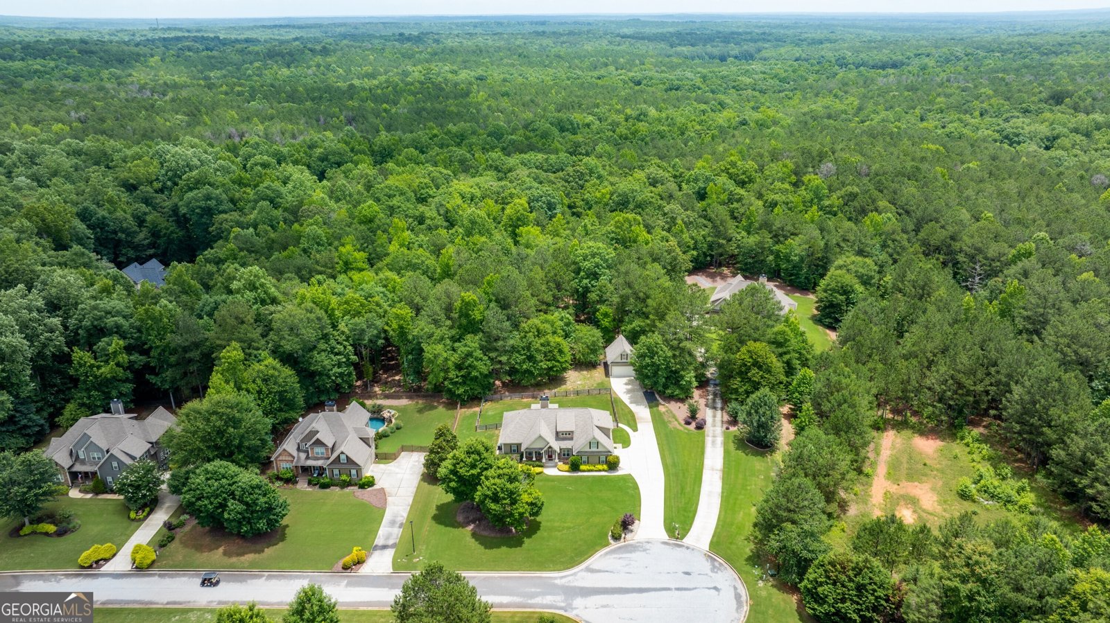 254 Magnolia Place Drive Senoia - Photo 73