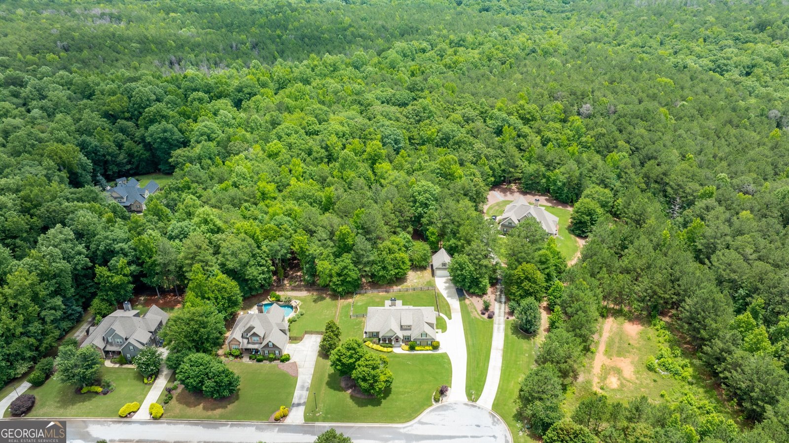 254 Magnolia Place Drive Senoia - Photo 74