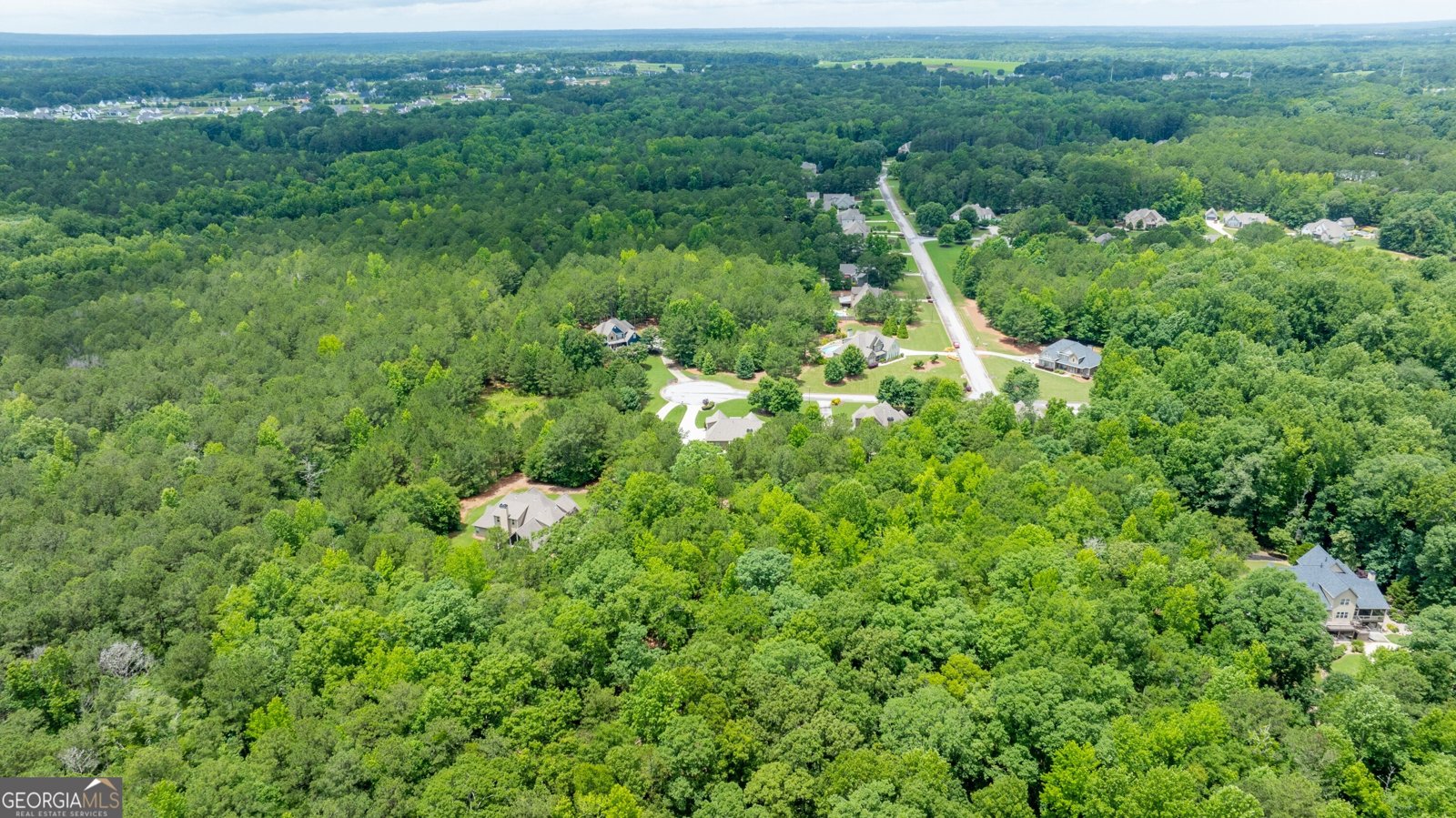254 Magnolia Place Drive Senoia - Photo 75