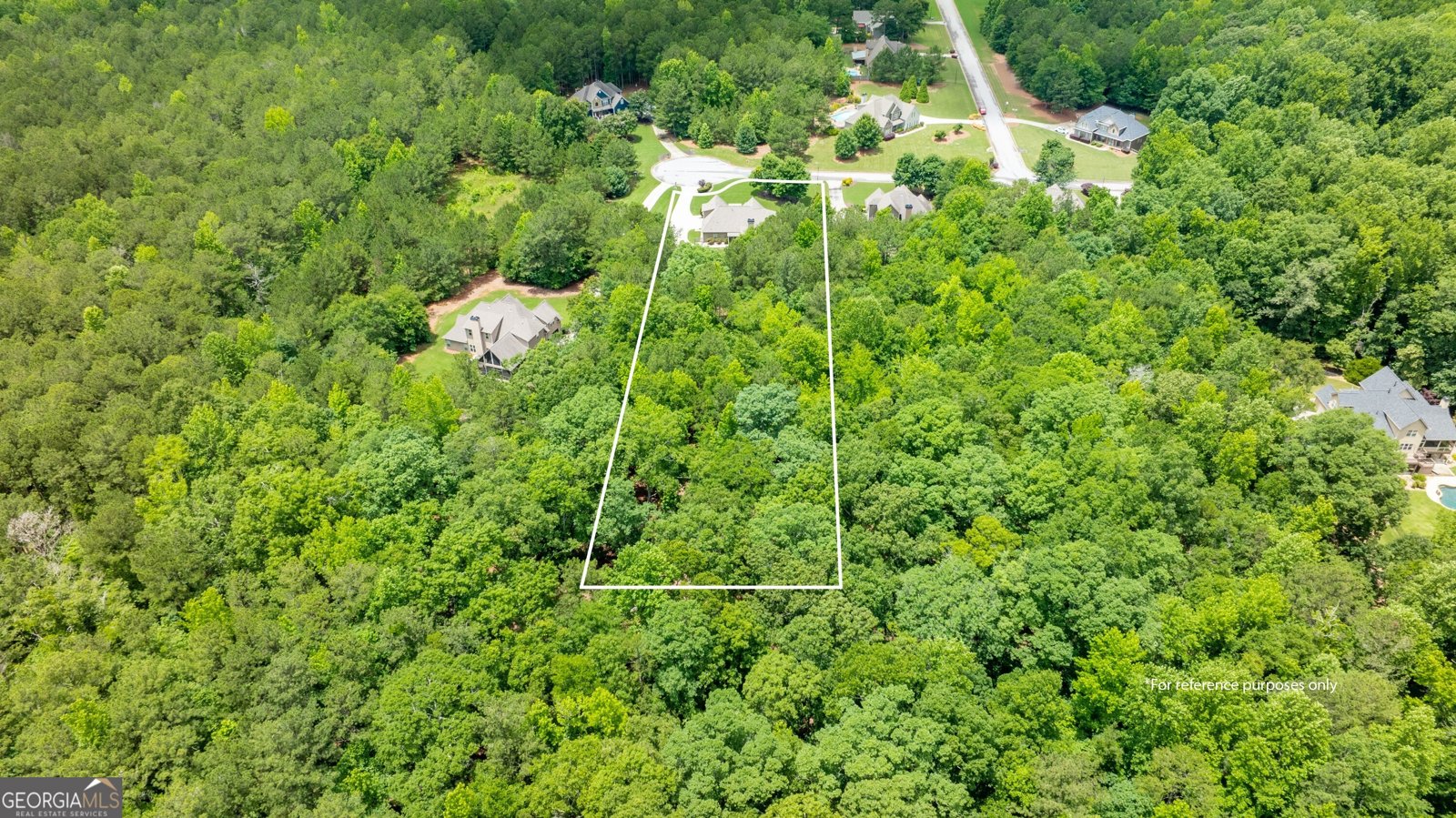 254 Magnolia Place Drive Senoia - Photo 79