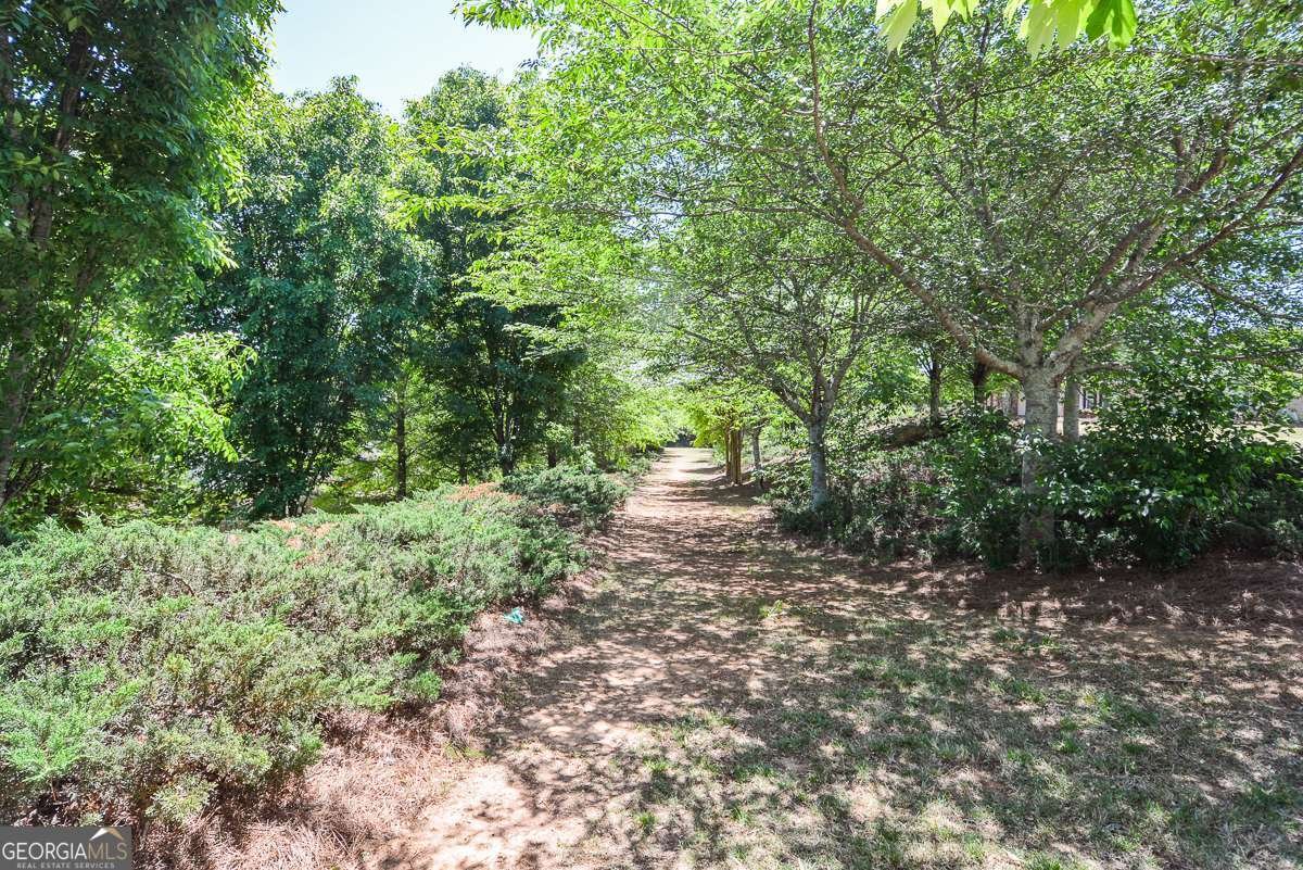 140 Cornerstone Circle Woodstock - Photo 46