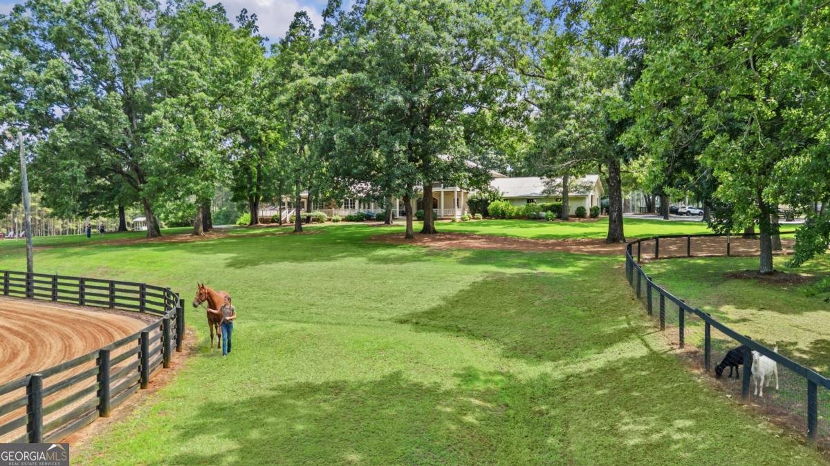 3701 Little River Road Madison - Photo 19