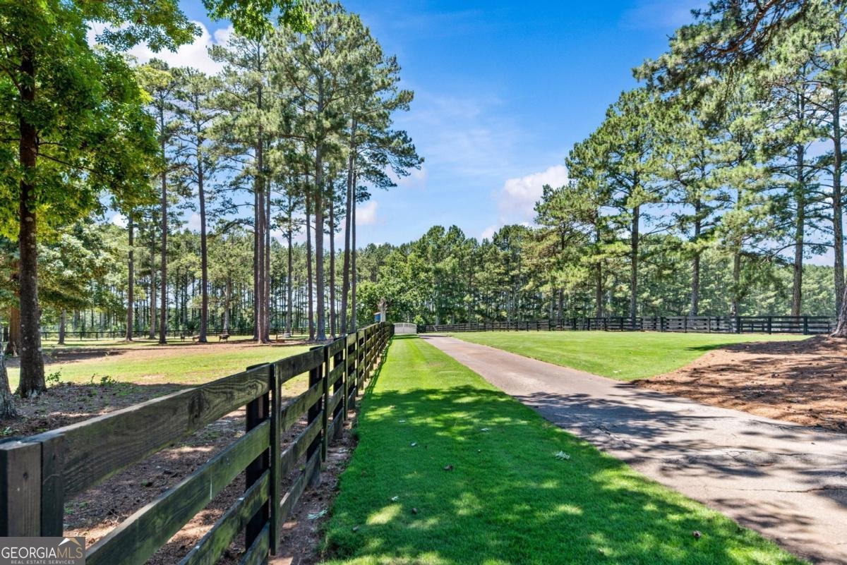 3701 Little River Road Madison - Photo 51