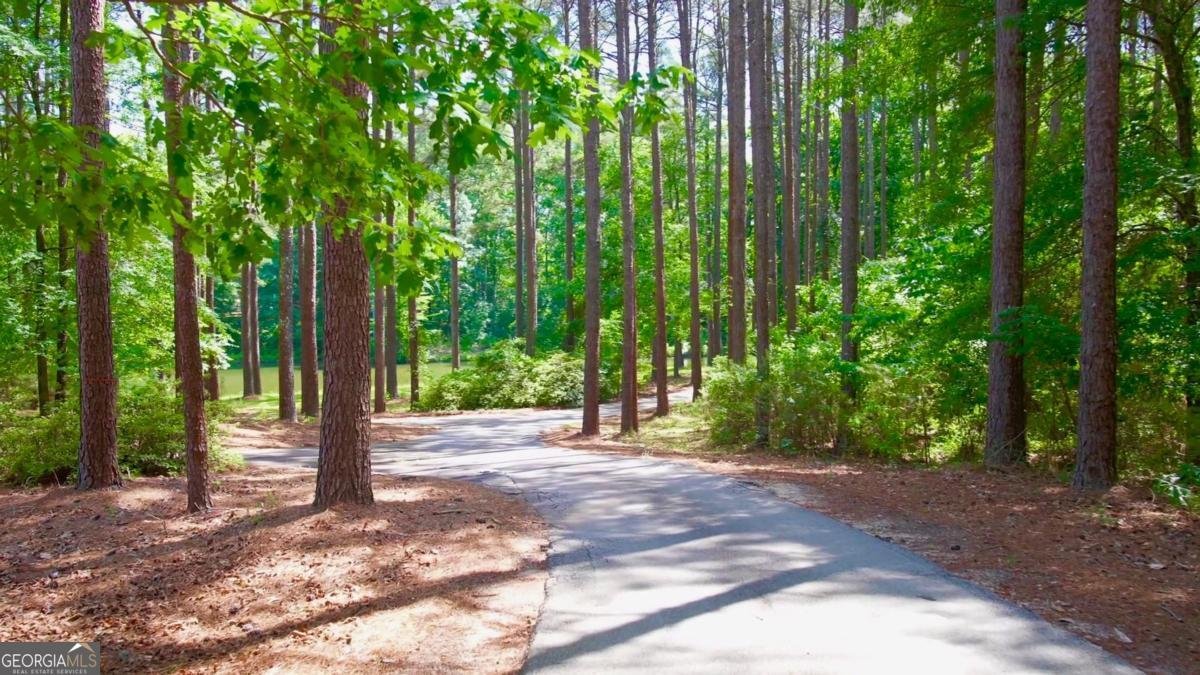 3701 Little River Road Madison - Photo 54