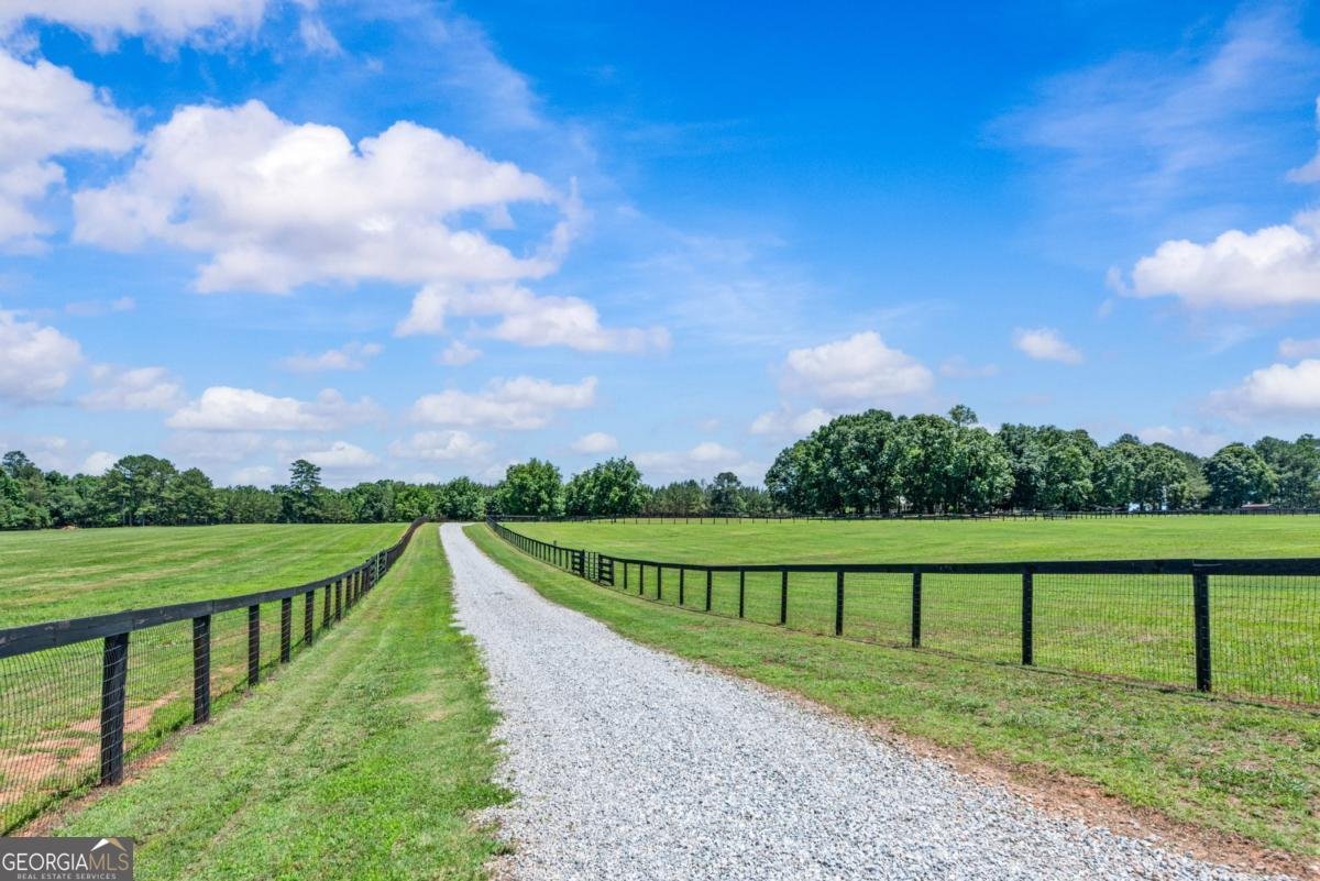 3701 Little River Road Madison - Photo 55