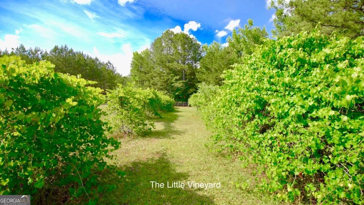 3701 Little River Road Madison - Photo 58