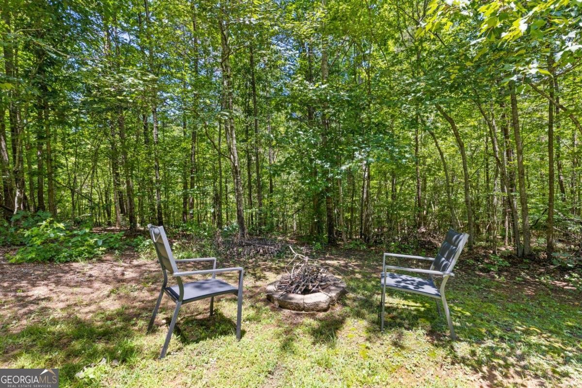120 Sadie Court Dawsonville - Photo 42
