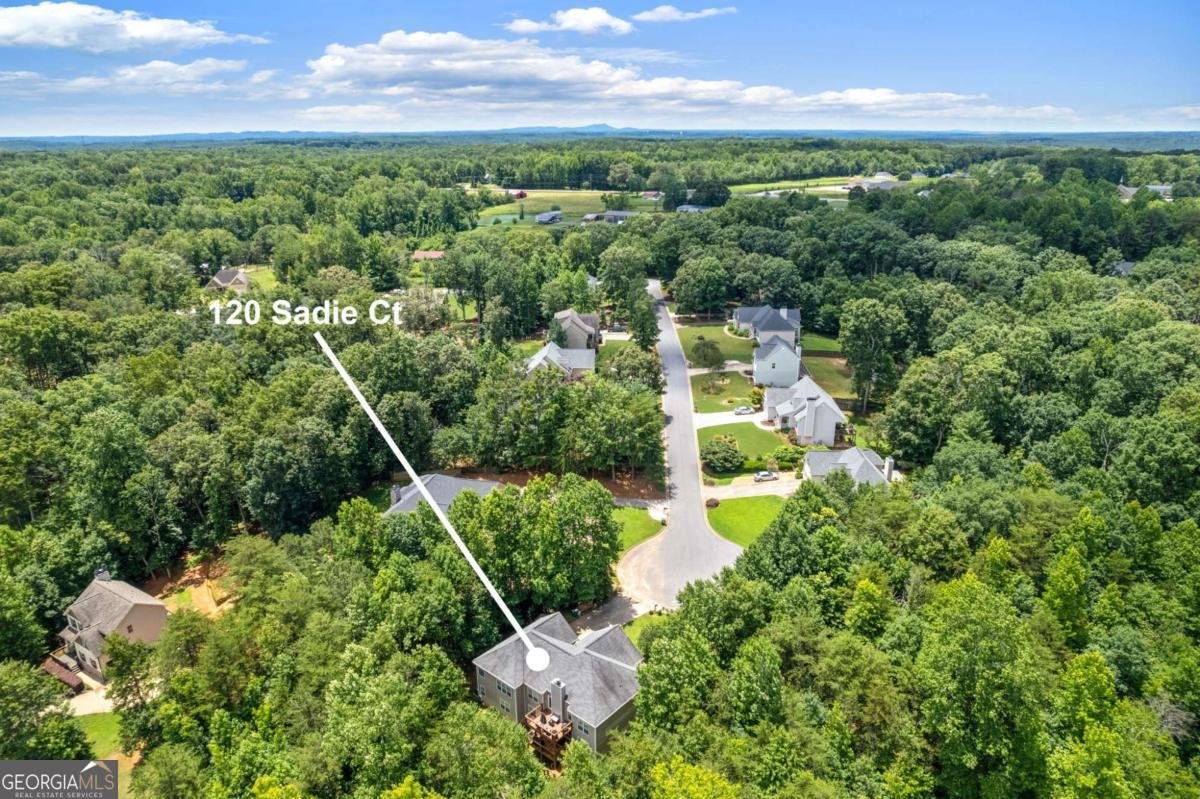 120 Sadie Court Dawsonville - Photo 47