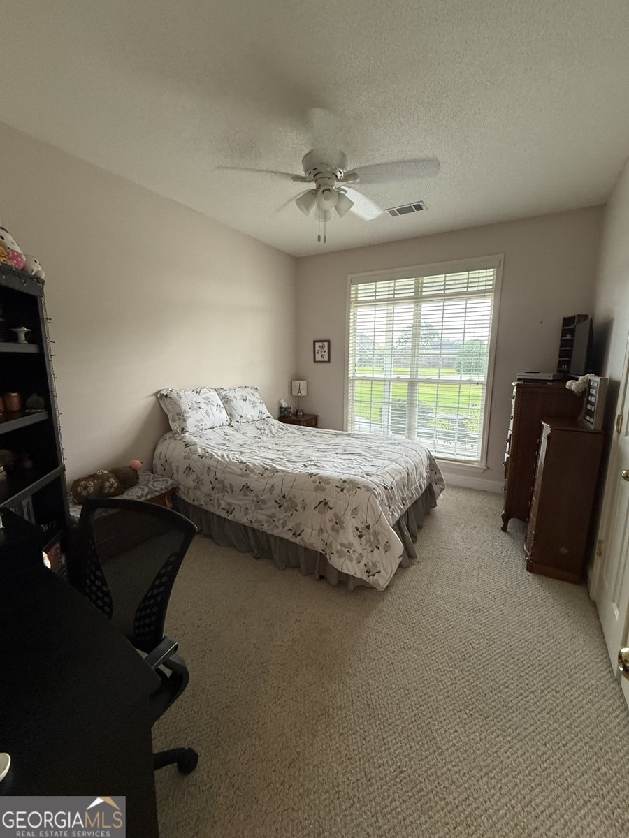 304 Dixieland Drive Byron - Photo 17