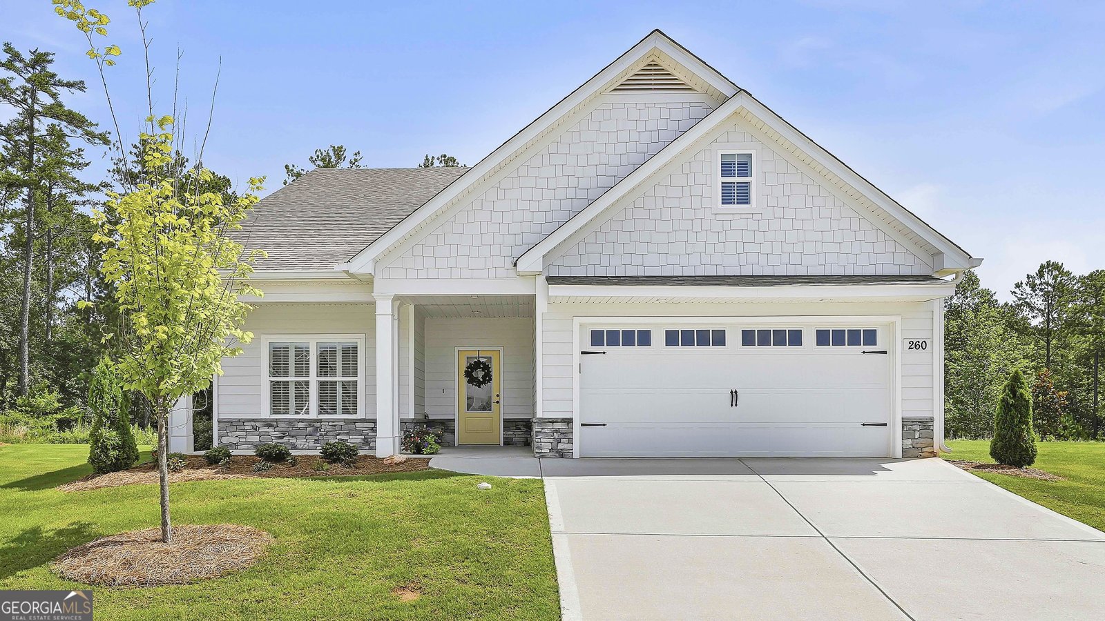 260 Redhaven Drive Senoia - main photo