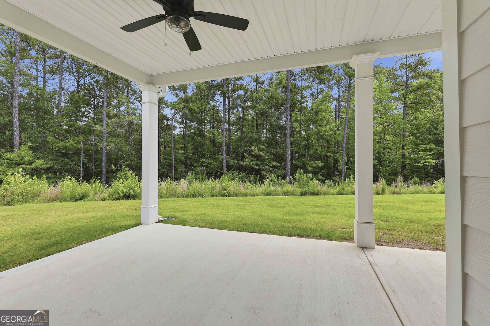 260 Redhaven Drive Senoia - Photo 33