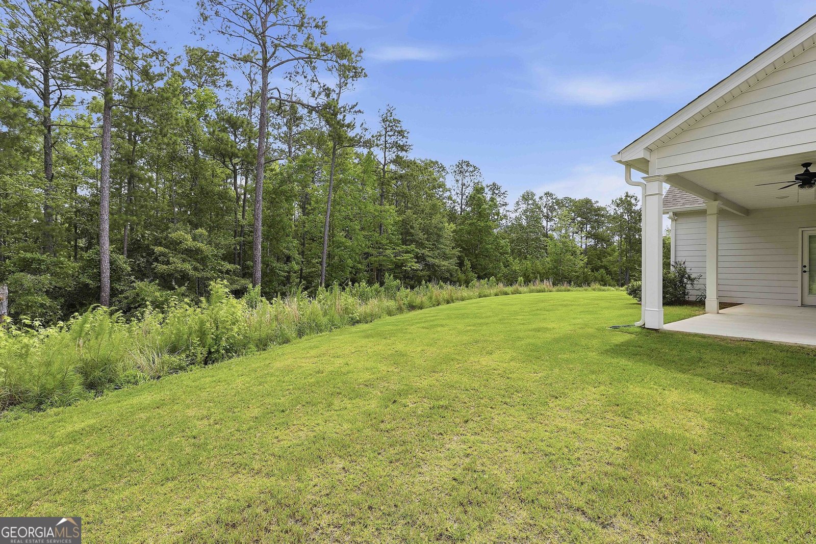 260 Redhaven Drive Senoia - Photo 36