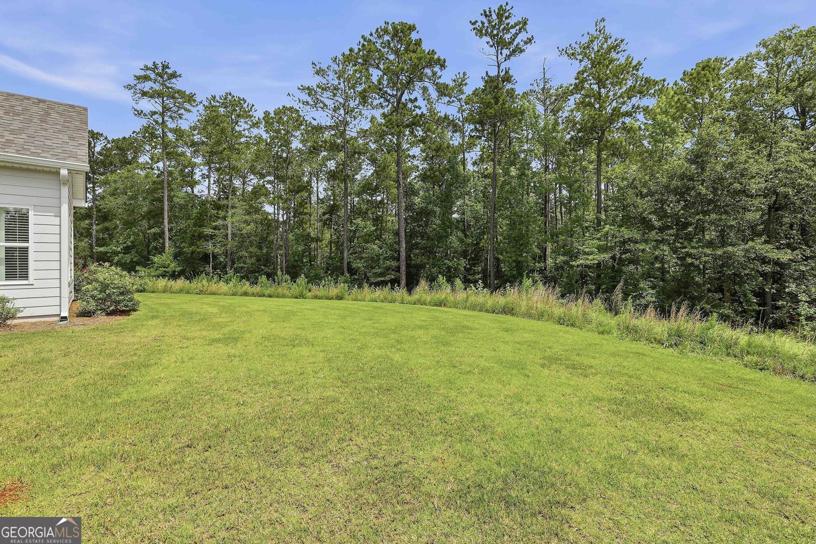 260 Redhaven Drive Senoia - Photo 39
