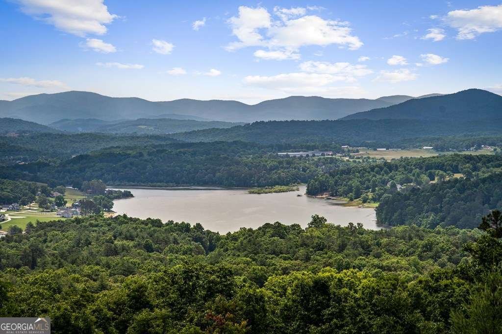 437 Winding Ridge Blairsville - Photo 61