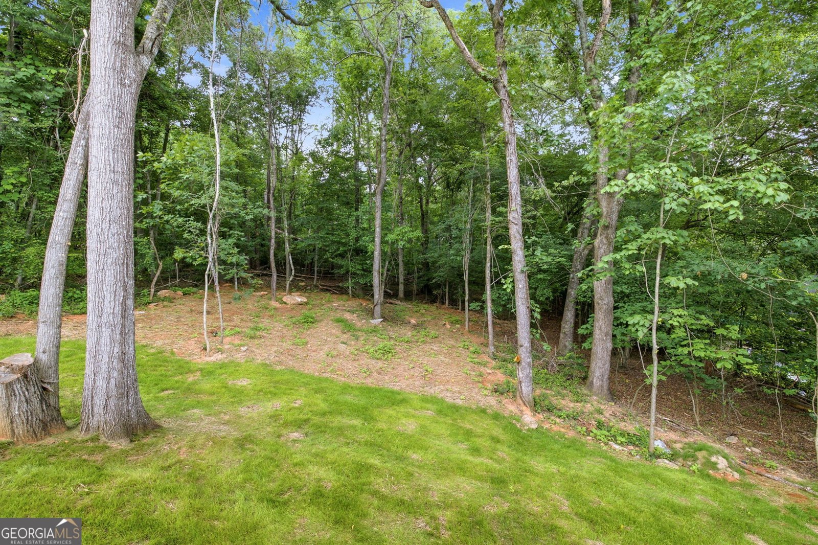 238 Singing Hills Drive Clarkesville - Photo 30