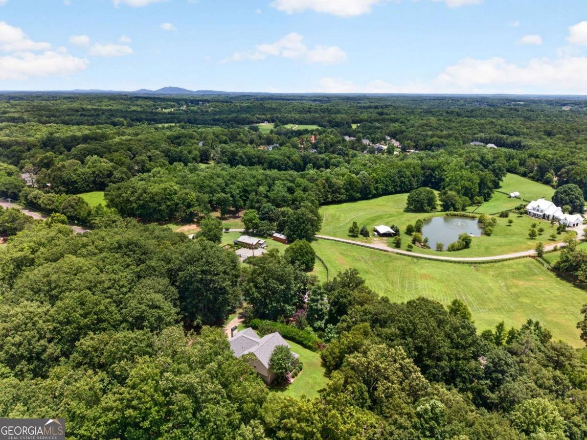 2729 Arbor Hill Road Canton - Photo 35