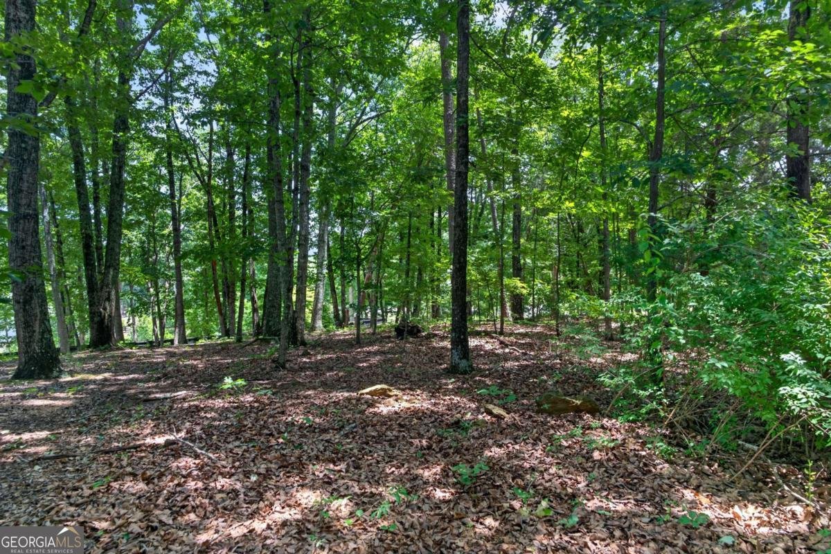 2729 Arbor Hill Road Canton - Photo 50