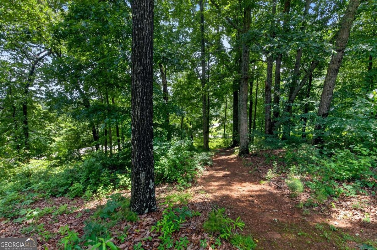 2729 Arbor Hill Road Canton - Photo 52