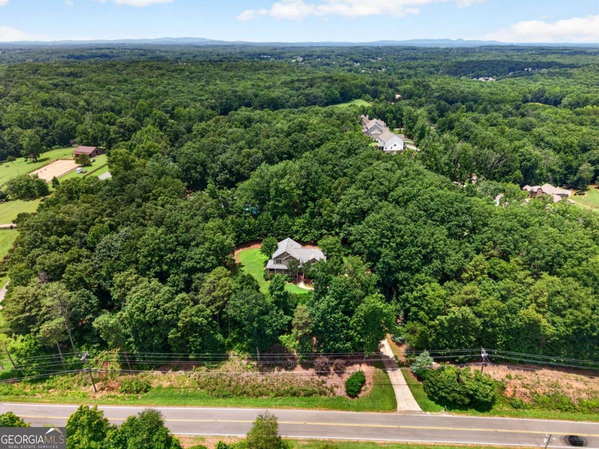 2729 Arbor Hill Road Canton - Photo 54