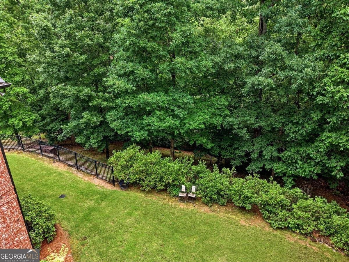 1540 Bramble Bush Way Suwanee - Photo 58