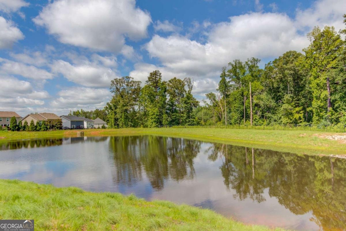 42 Sinclair Circle Hoschton - Photo 43