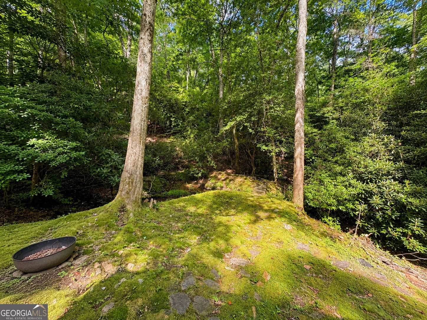 480 Wahu Hu Drive Hiawassee - Photo 48