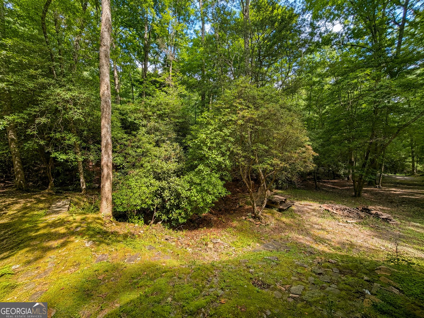 480 Wahu Hu Drive Hiawassee - Photo 49