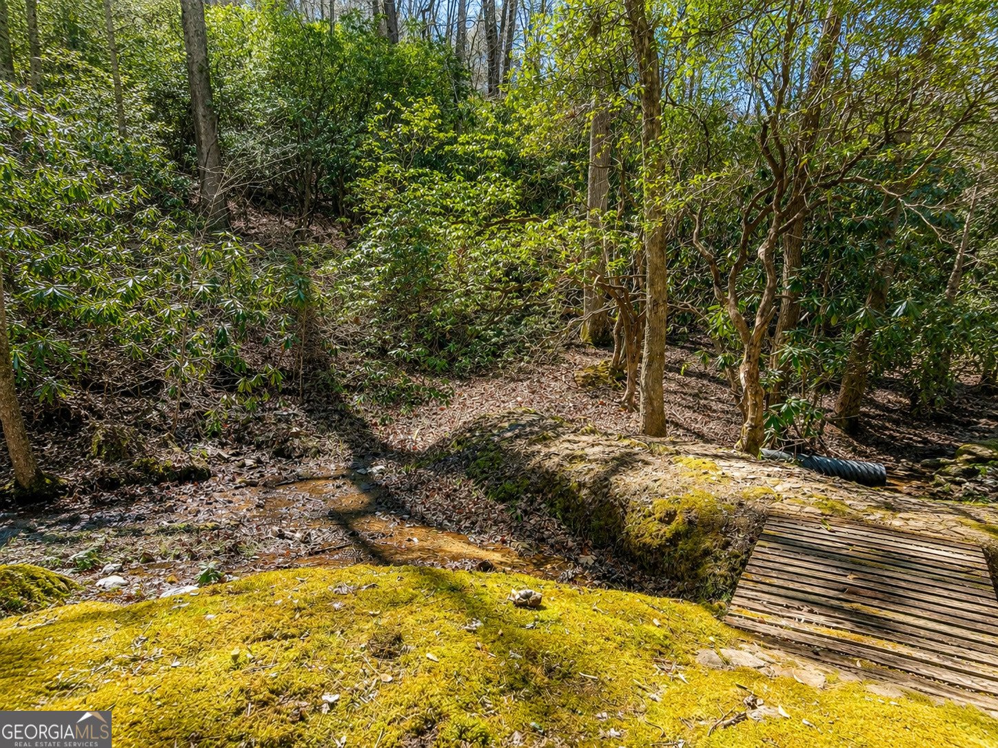 480 Wahu Hu Drive Hiawassee - Photo 50