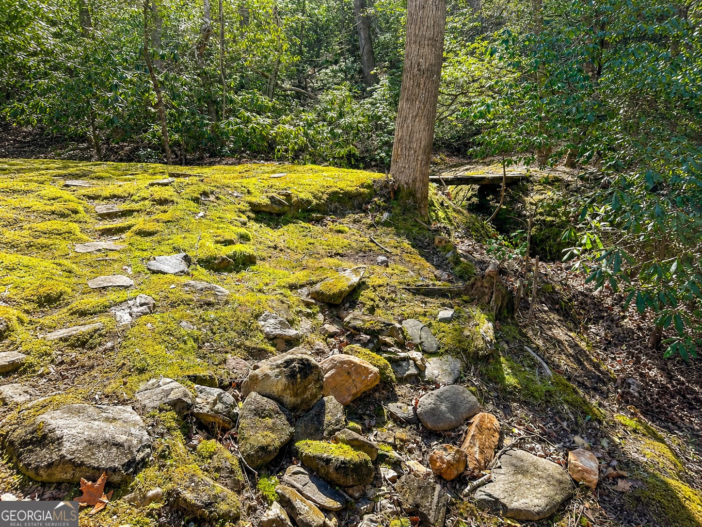 480 Wahu Hu Drive Hiawassee - Photo 51