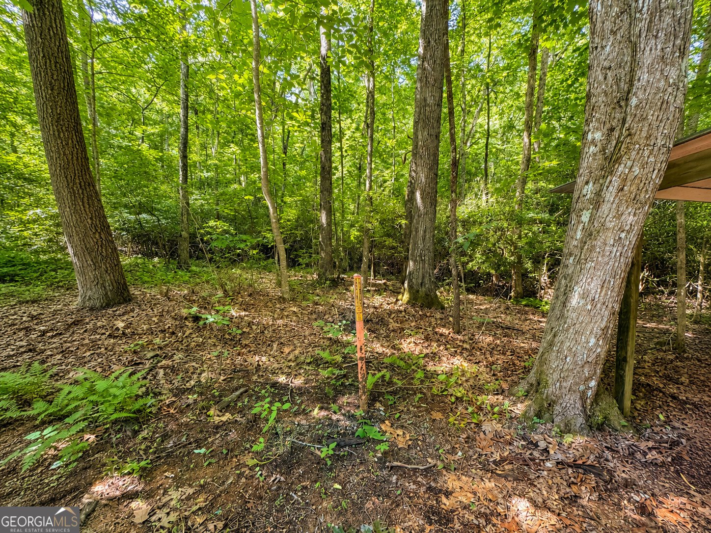 480 Wahu Hu Drive Hiawassee - Photo 52
