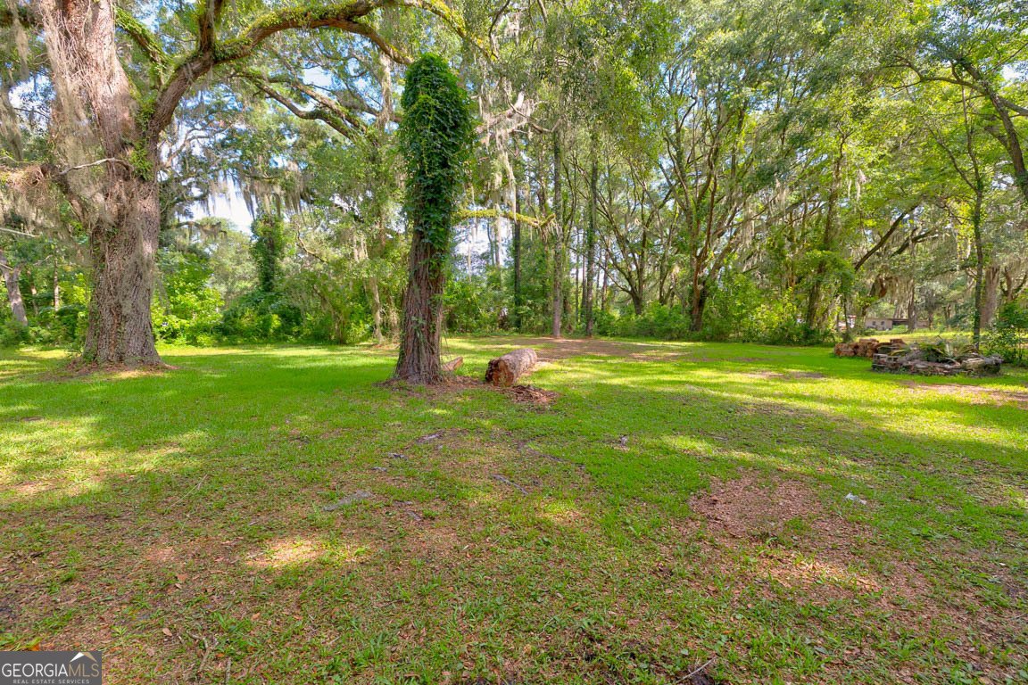 173 FISH HALL Road Brunswick - Photo 41