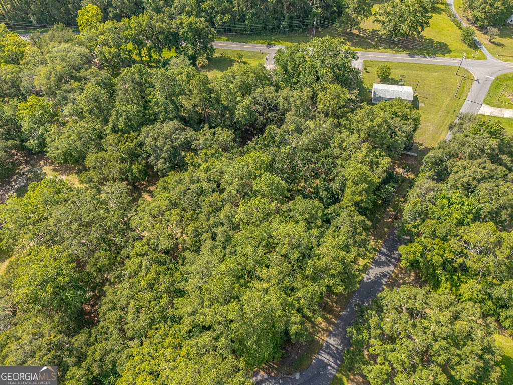 173 FISH HALL Road Brunswick - Photo 46