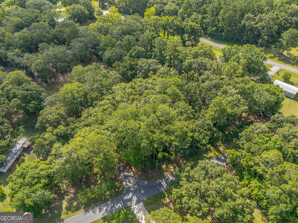 173 FISH HALL Road Brunswick - Photo 47