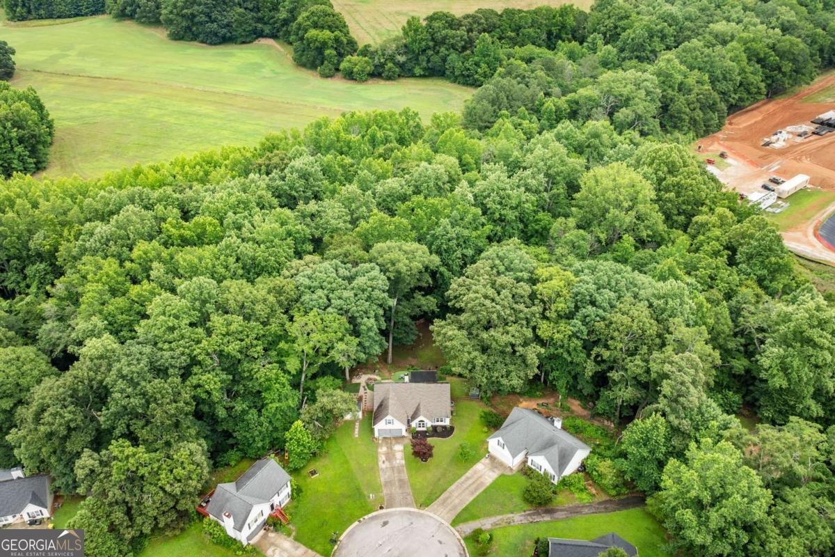 27 Otter Lane Hoschton - Photo 53