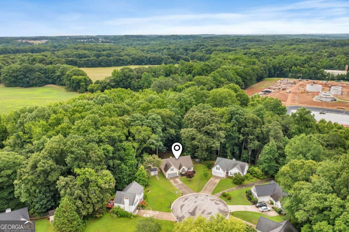 27 Otter Lane Hoschton - Photo 54