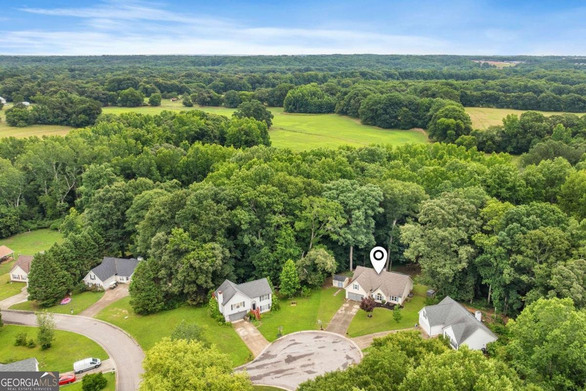 27 Otter Lane Hoschton - Photo 55