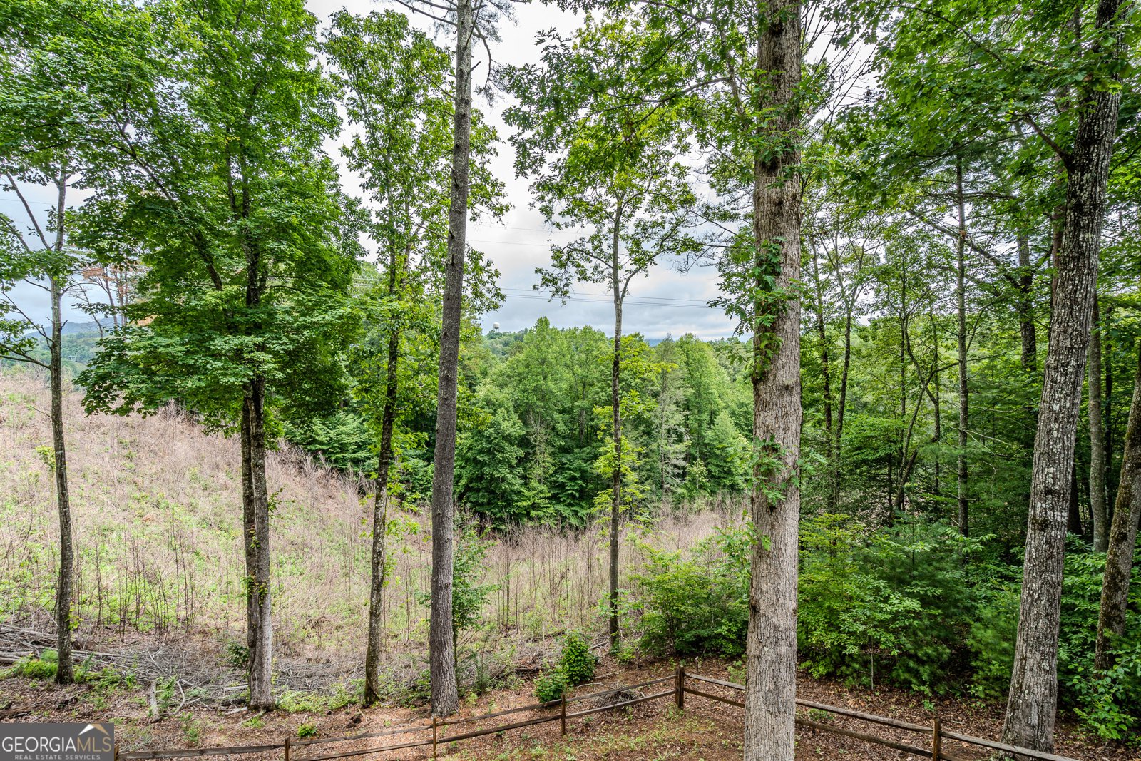 1095 Lonesome Pine Road Murphy - Photo 28