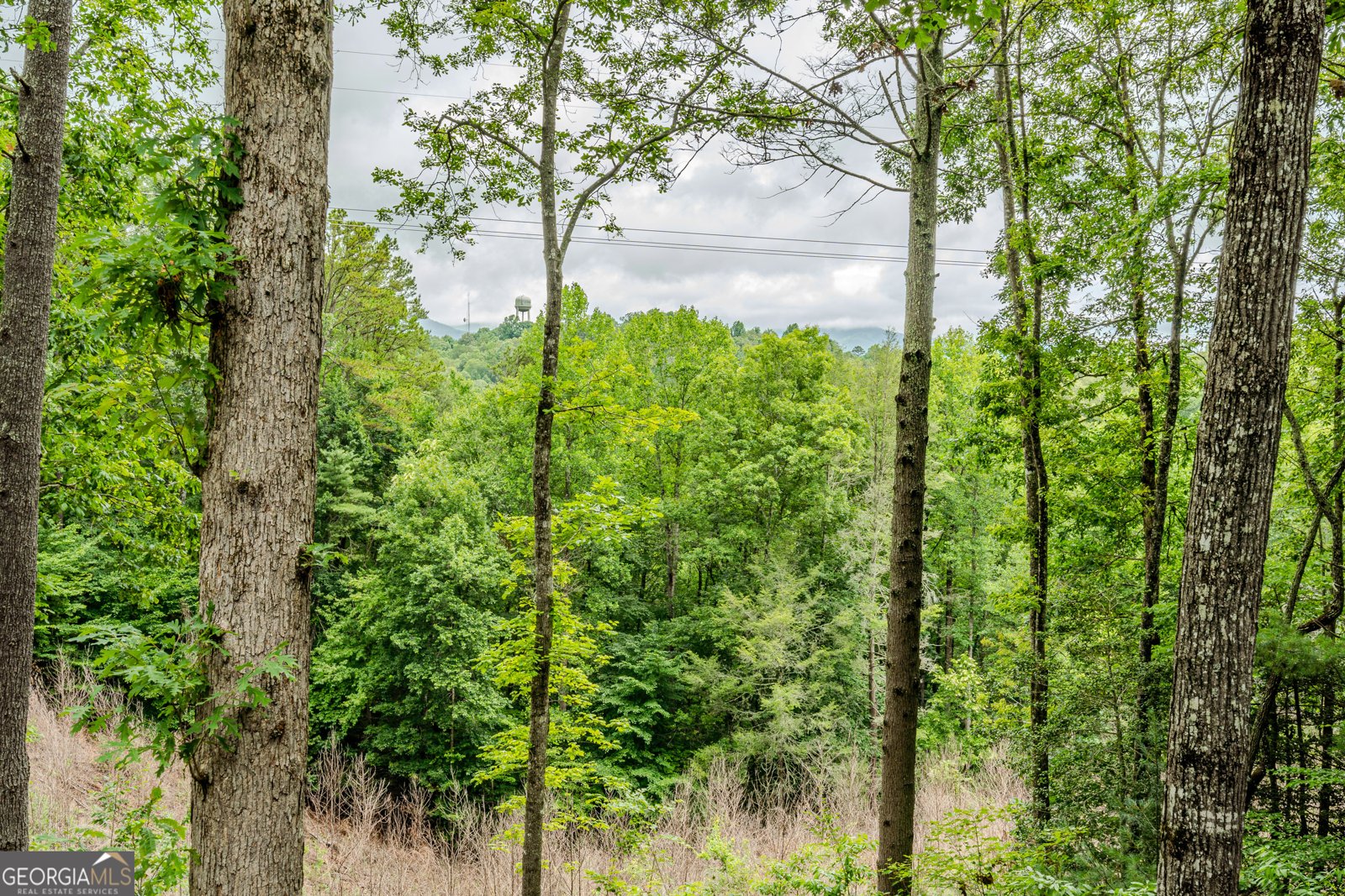 1095 Lonesome Pine Road Murphy - Photo 29