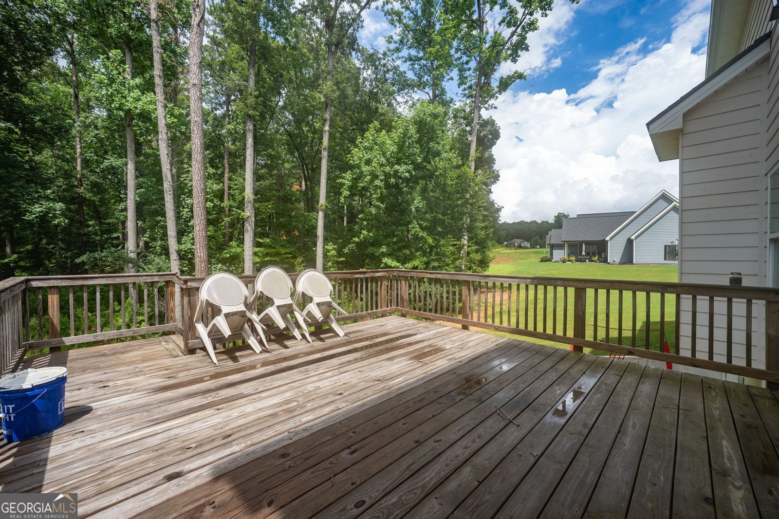 117 Brinley Drive Sharpsburg - Photo 47