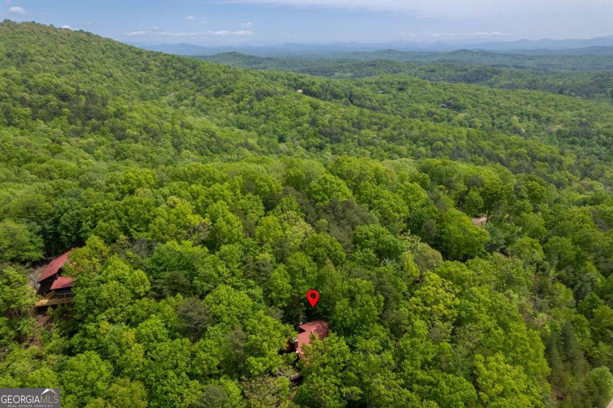 305 Martin Crossing Cherry Log - Photo 36