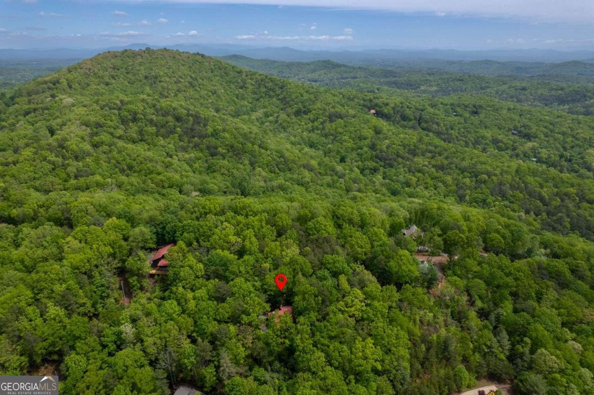 305 Martin Crossing Cherry Log - Photo 38