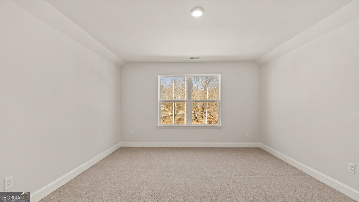 220 Parnassus Road Locust Grove - Photo 28