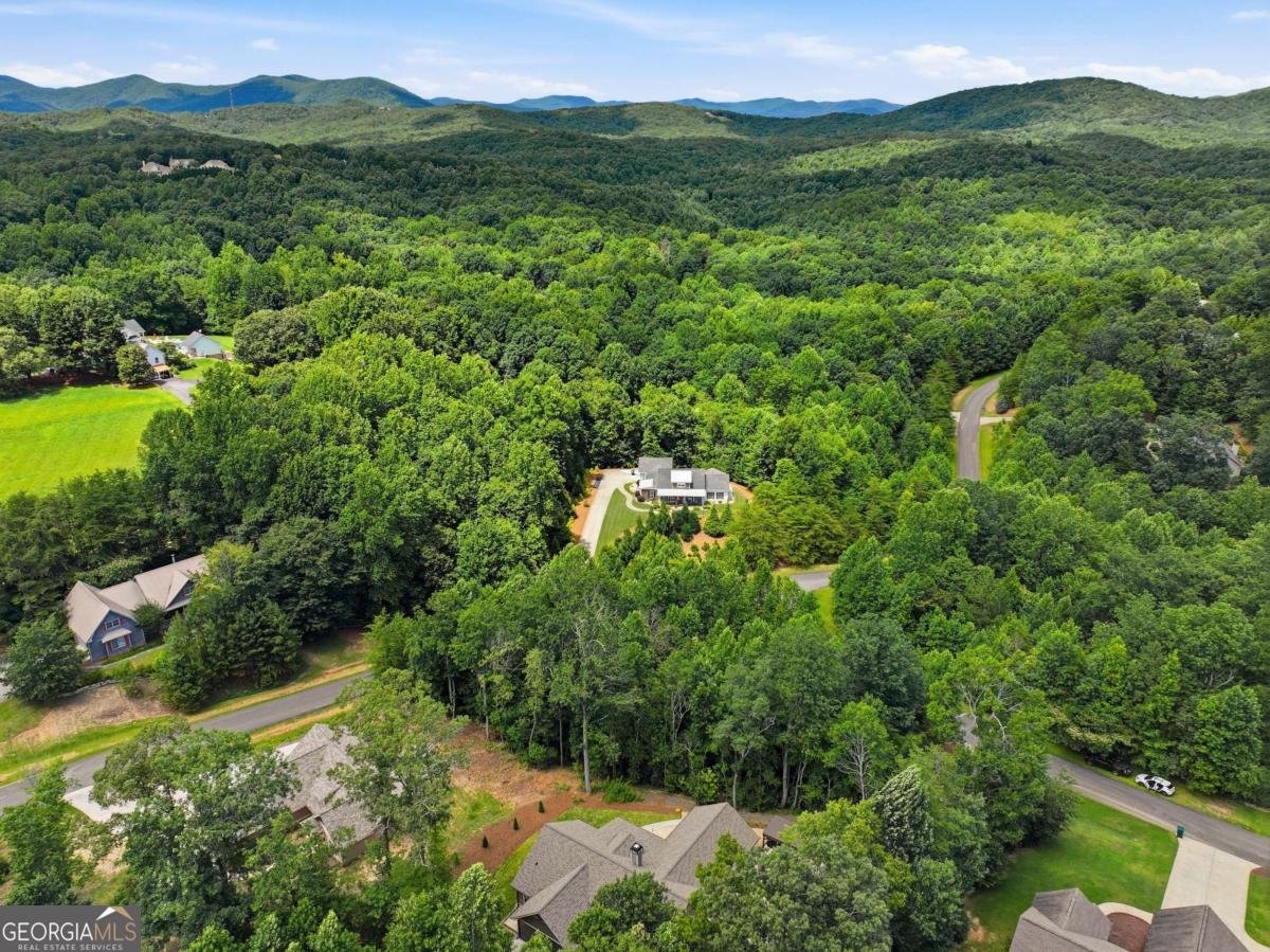 22 Logsplitter Pass Dahlonega - Photo 34