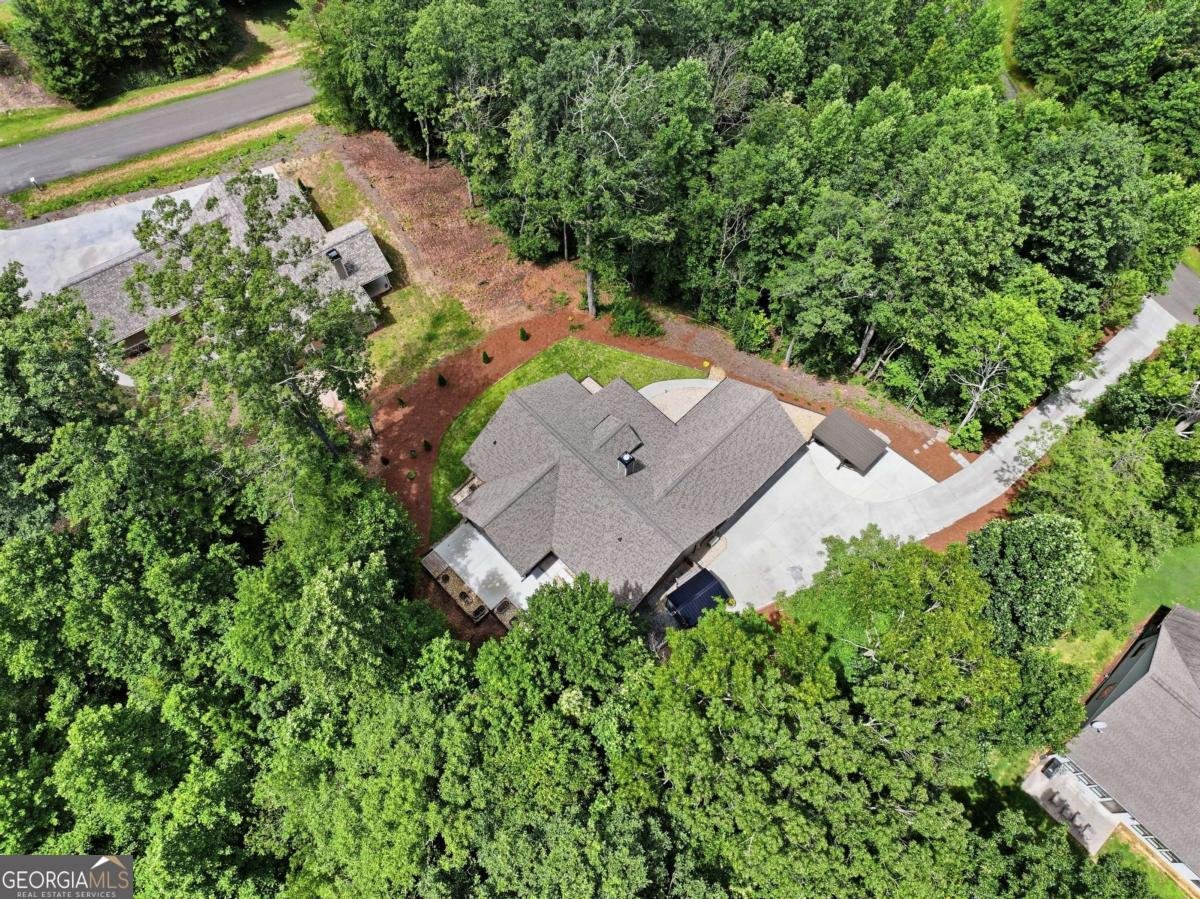 22 Logsplitter Pass Dahlonega - Photo 36