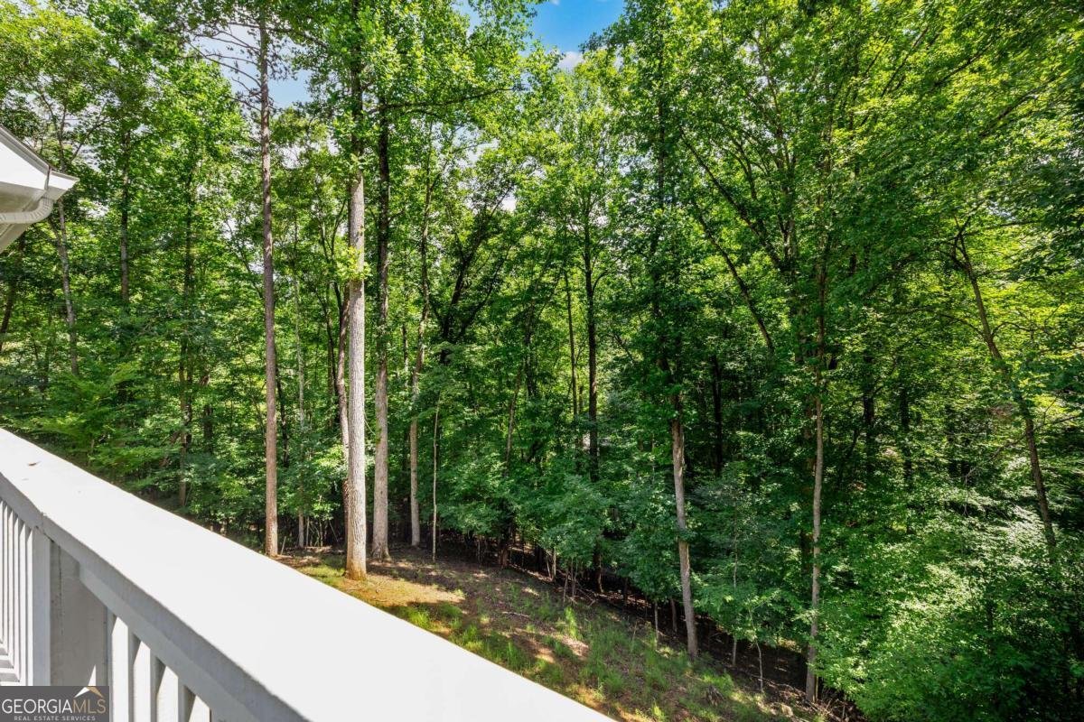 62 Spalding Court Ellijay - Photo 10