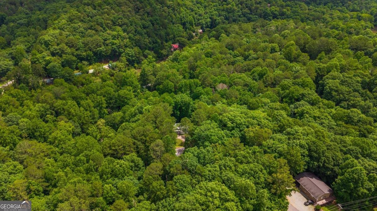 62 Spalding Court Ellijay - Photo 15